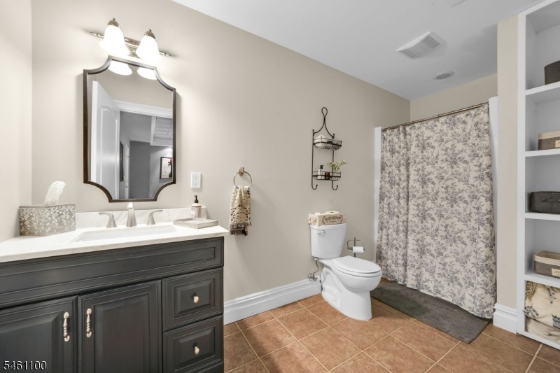 Lower level - bathroom