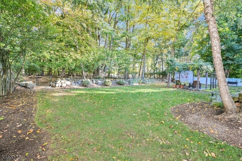 Large private backyard