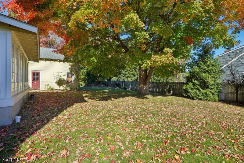 Yard