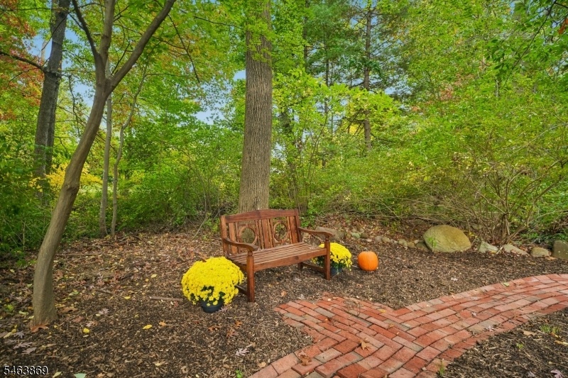 Secret Garden area