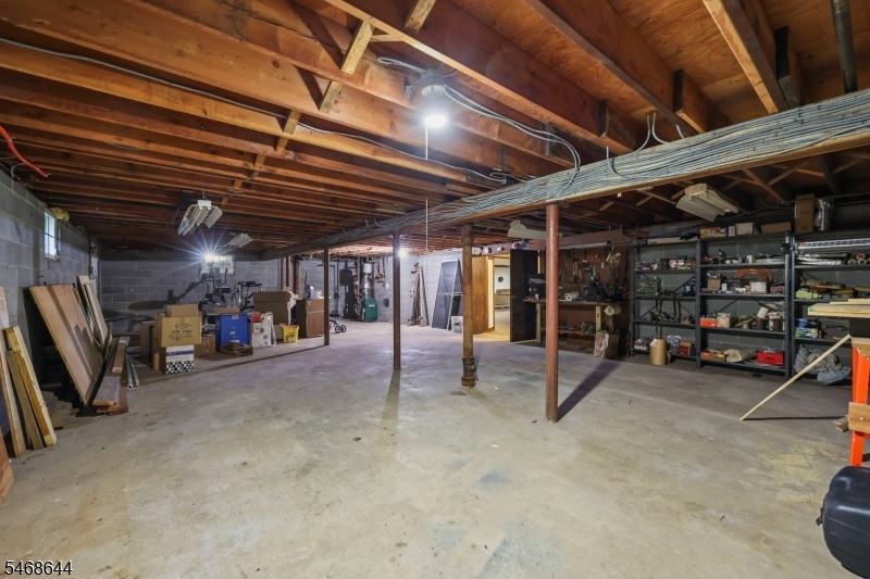 Storage in Basement