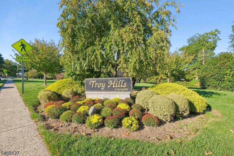 Welcome to Troy Hills