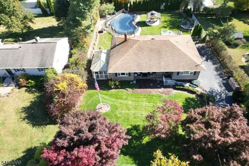 Whole Lot View