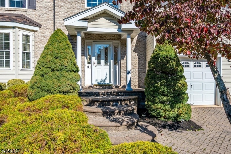 Front View