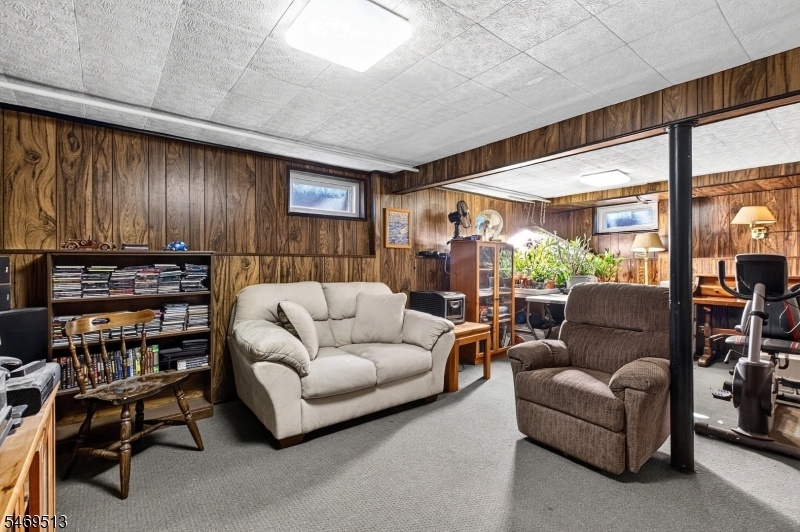 Den in Basement