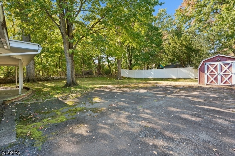 Back yard with shed