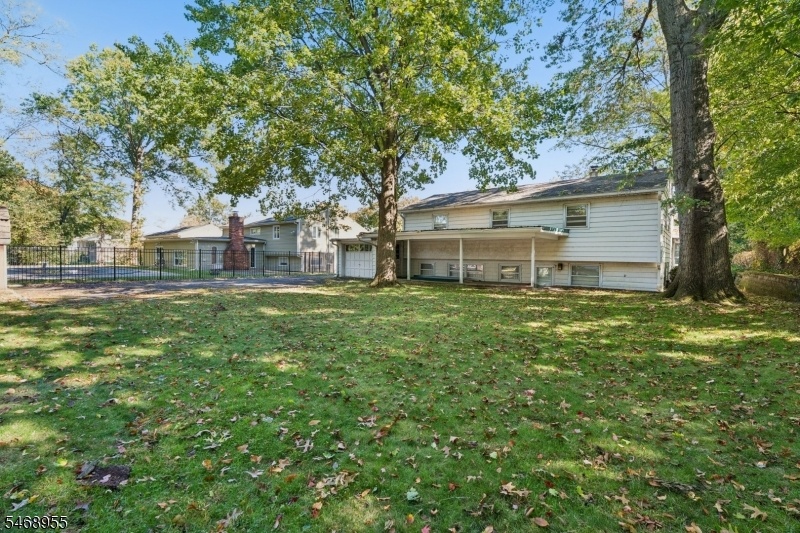 Back yard