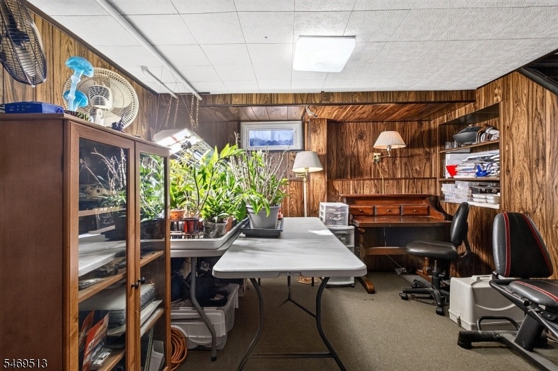 Den in Basement