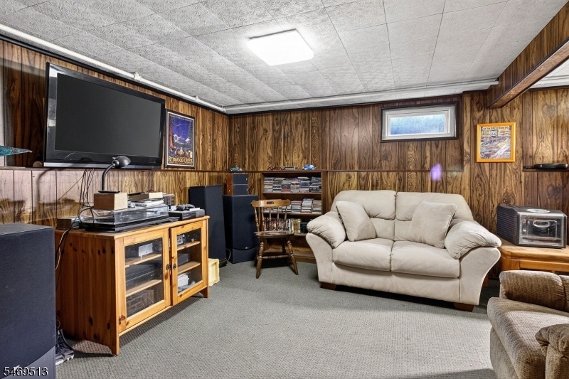 Den in Basement