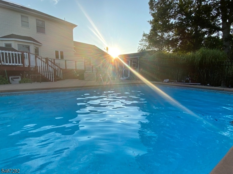 Pool in Summer