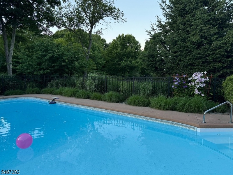 Pool in Summer