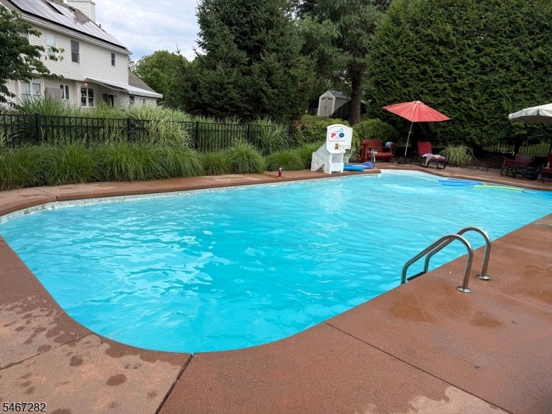 Pool in Summer