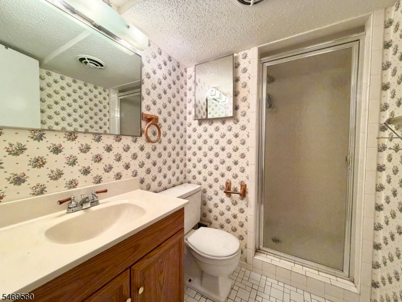 Lower Level Bathroom