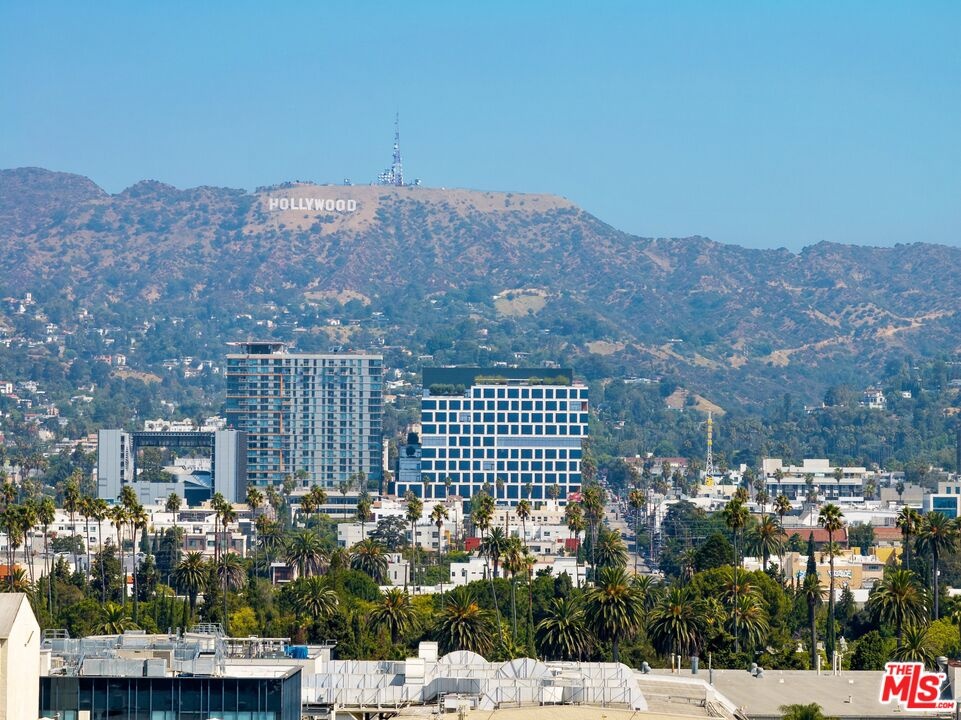 Views from the Primary Suite