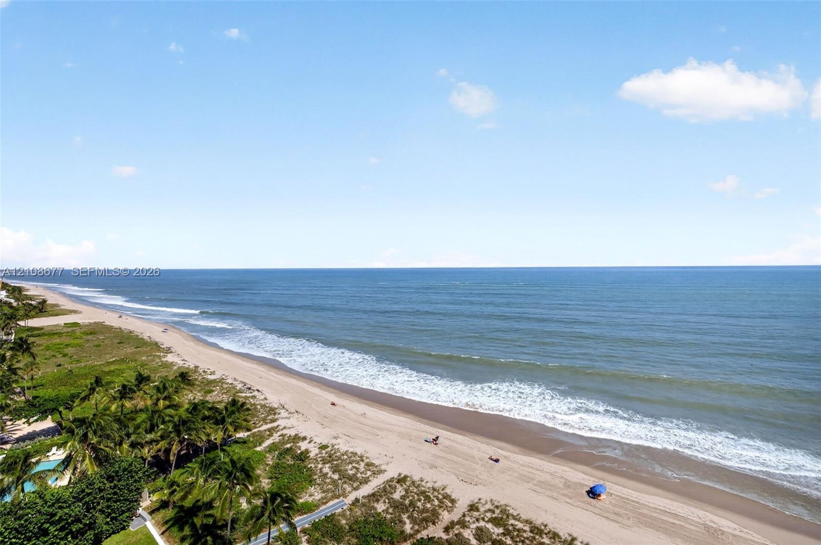 Direct oceanfront exposure featuring a sandy coastline, shoreline vegetation, and mature palm trees