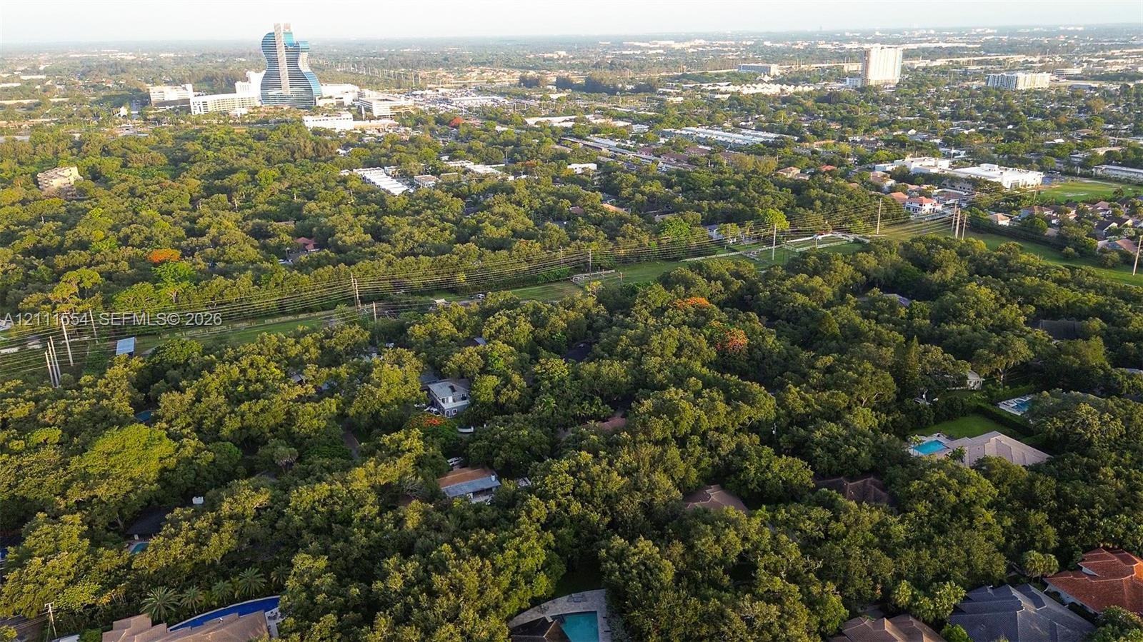 Aerial perspective of a heavily wooded residential landscape featuring mature canopy trees and expansive suburban greenery