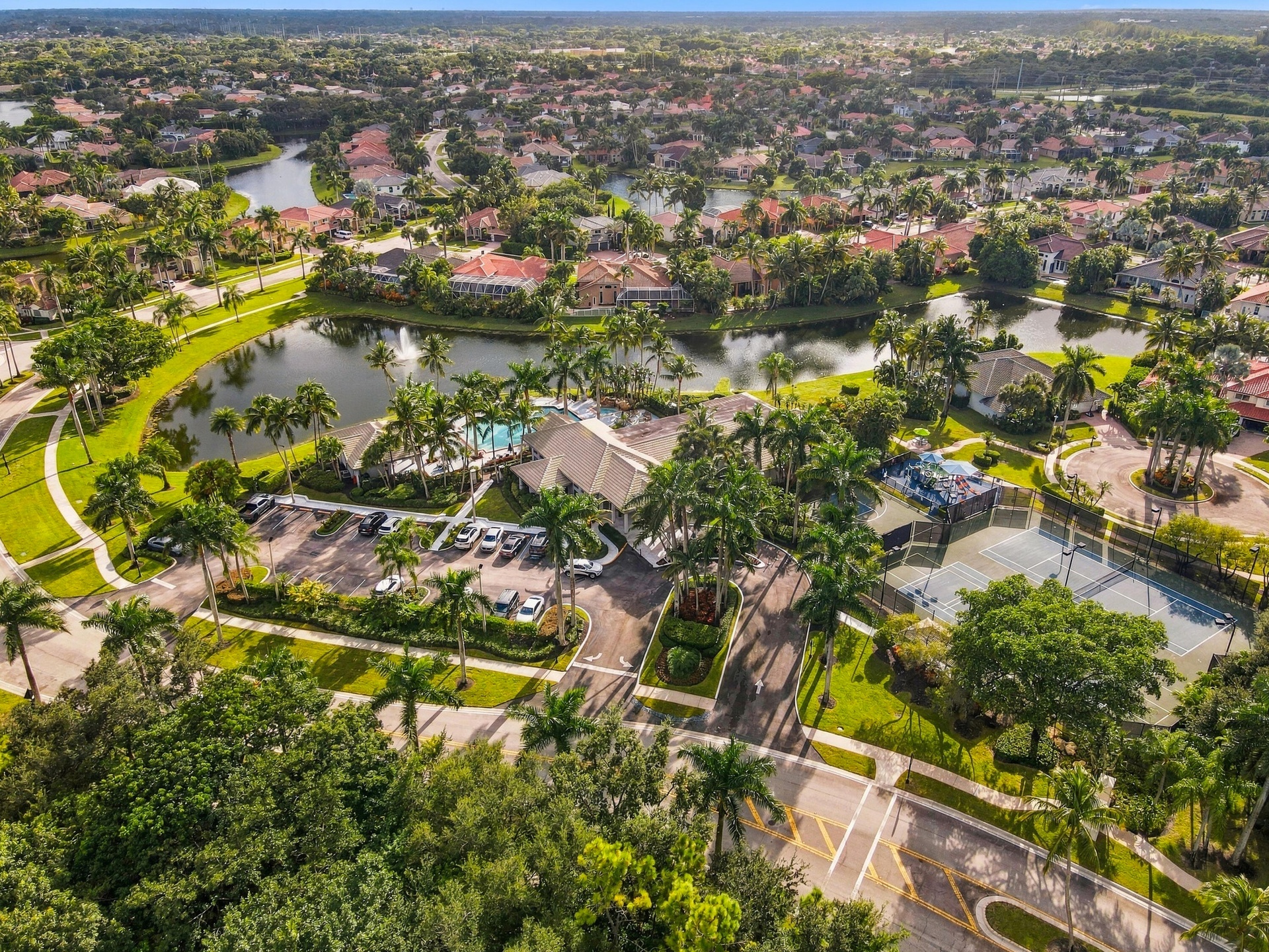 A bird's-eye view of the community's homes, mature landscaping, and surrounding scenery.
