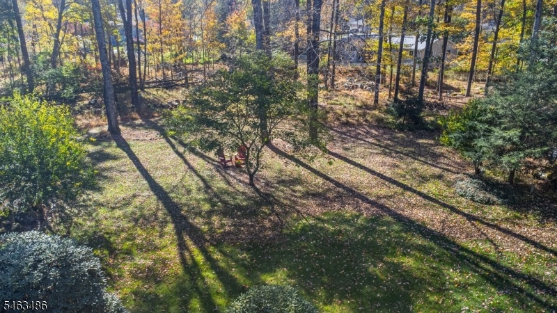 Expansive Yard
