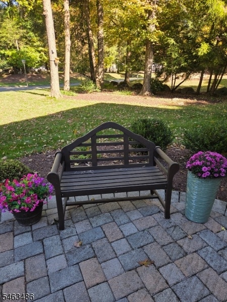 Lovely Front Yard