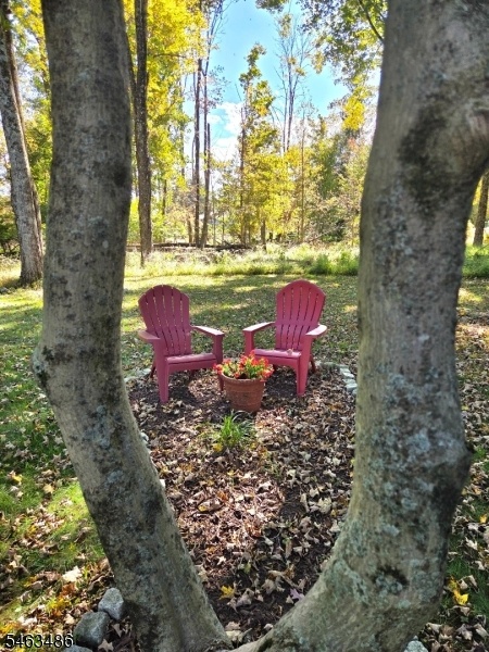 Beautiful Backyard