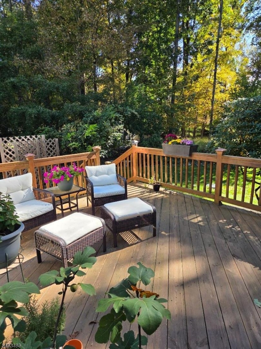 Gorgeous deck