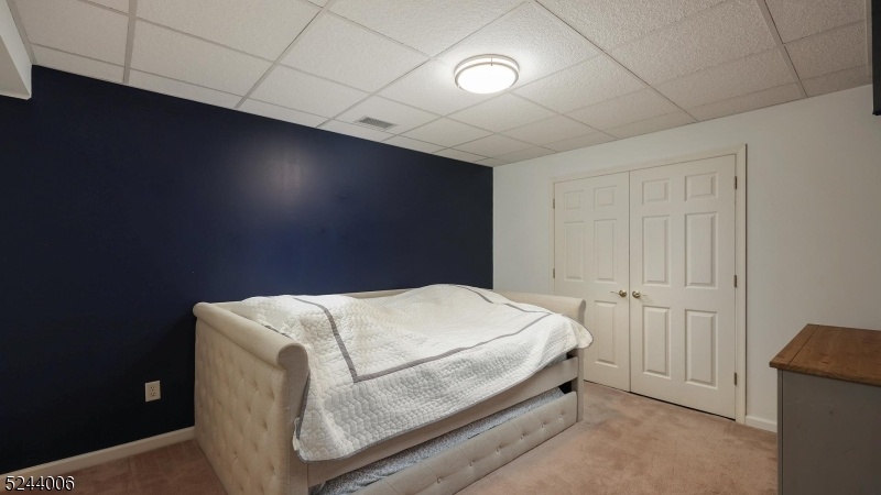 Lower Level All Purpose Room