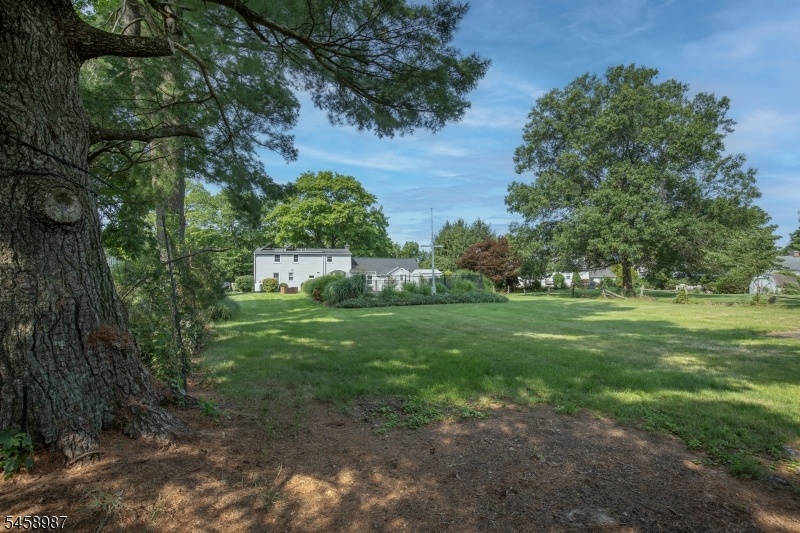 Backyard .52 acres