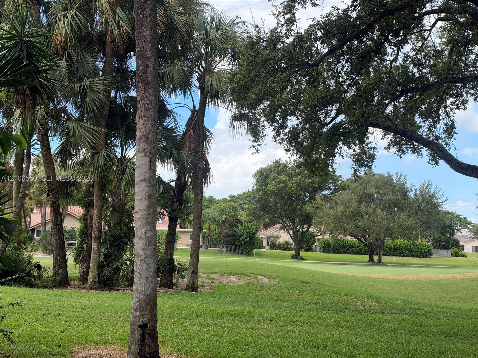 Expansive grounds featuring mature shade trees, established palm trees, and manicured green space