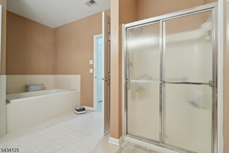 Primary bath shower & Tub