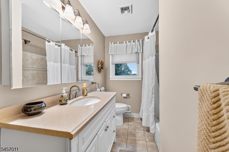 Updated Main Bathroom