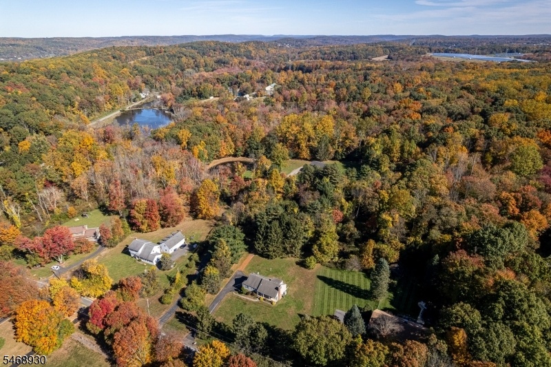 Drone view