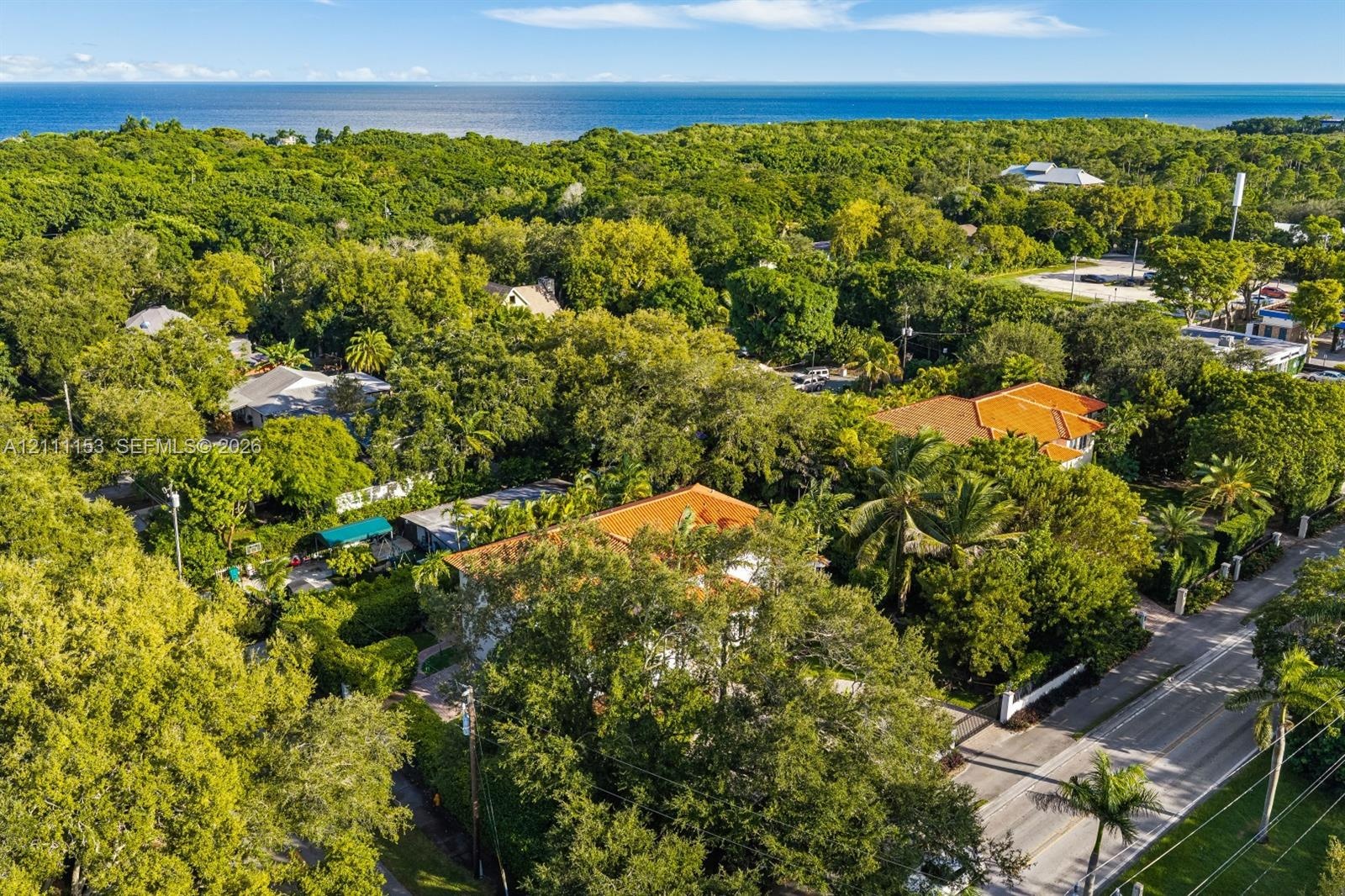 Aerial perspective featuring mature tree canopy, residential structures with clay-tile roofing, and coastal horizon