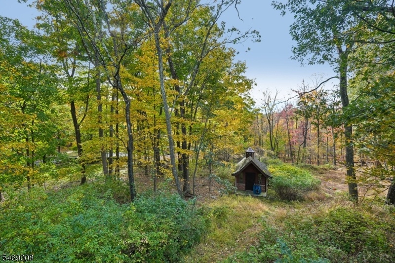 Wooded Lot