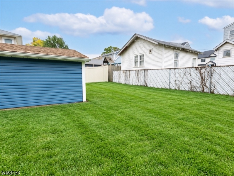 backyard 2