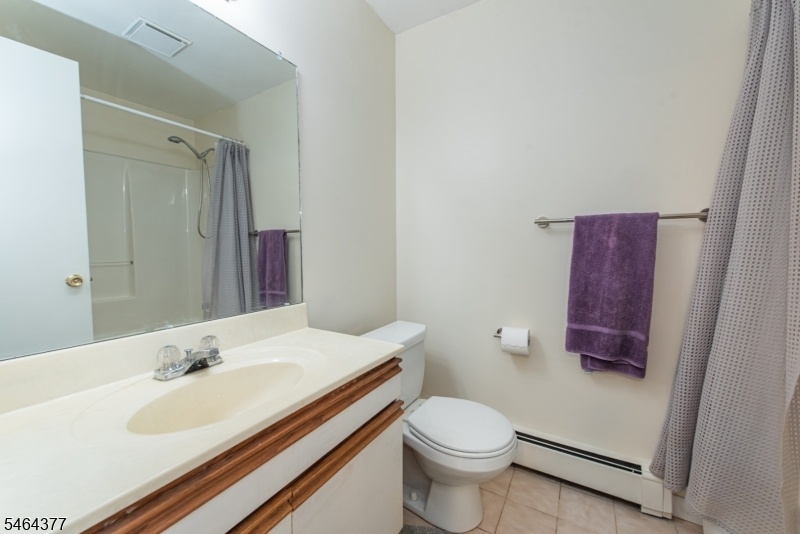 Lower level Bathroom