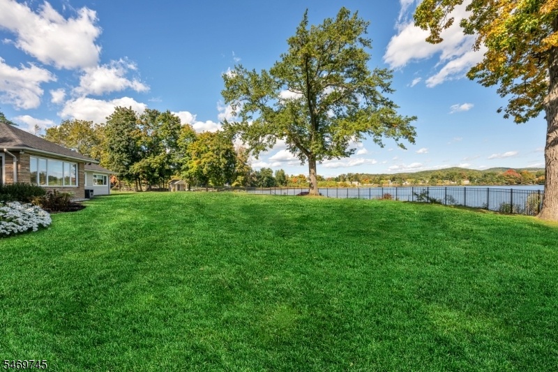 lawn