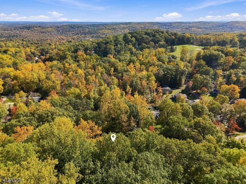 Fall foliage has arrived