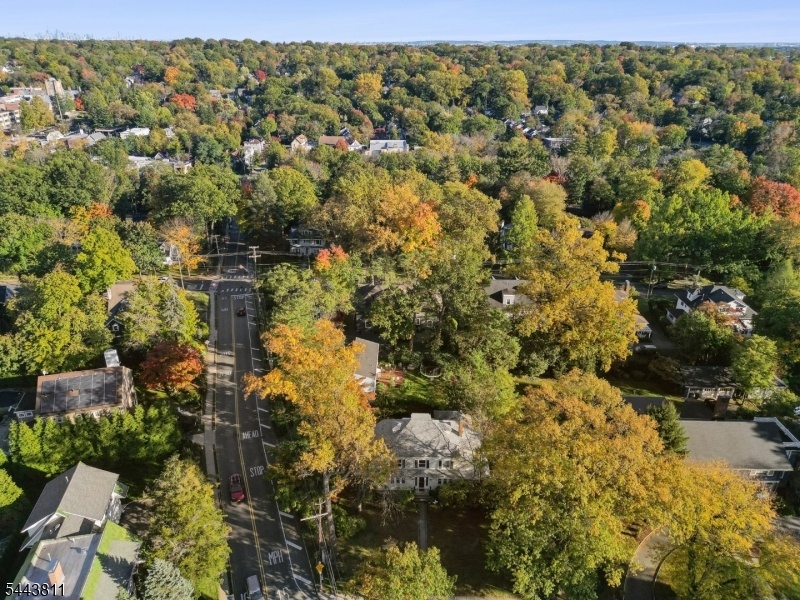 Drone View