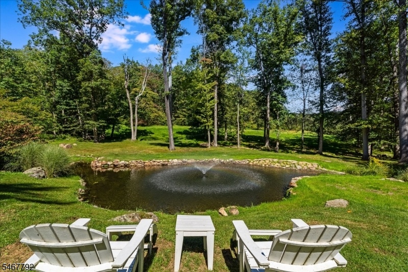 Pond View
