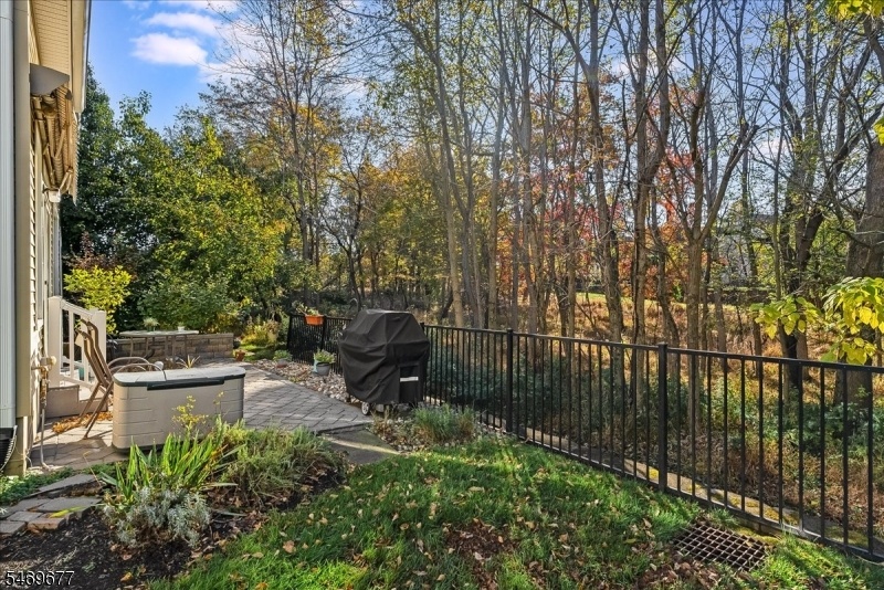 Back Patio