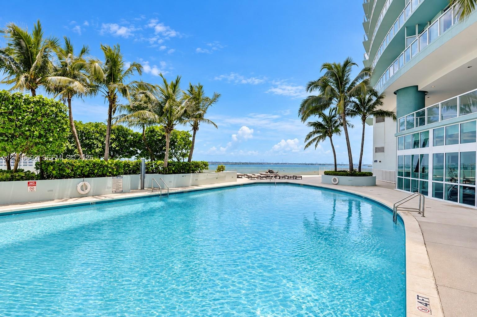Curved swimming pool with concrete decking, surrounding palm trees, low-profile masonry wall, and glass-paneled building exterior