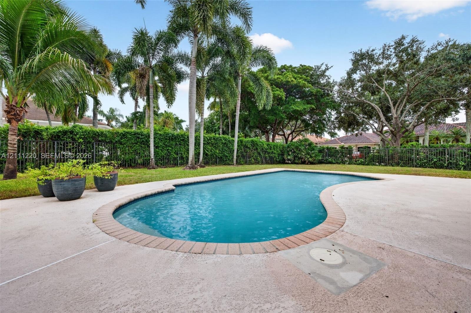 Swimming pool with a brick paver border, expansive concrete decking, manicured lawn, perimeter fencing, and mature palm trees