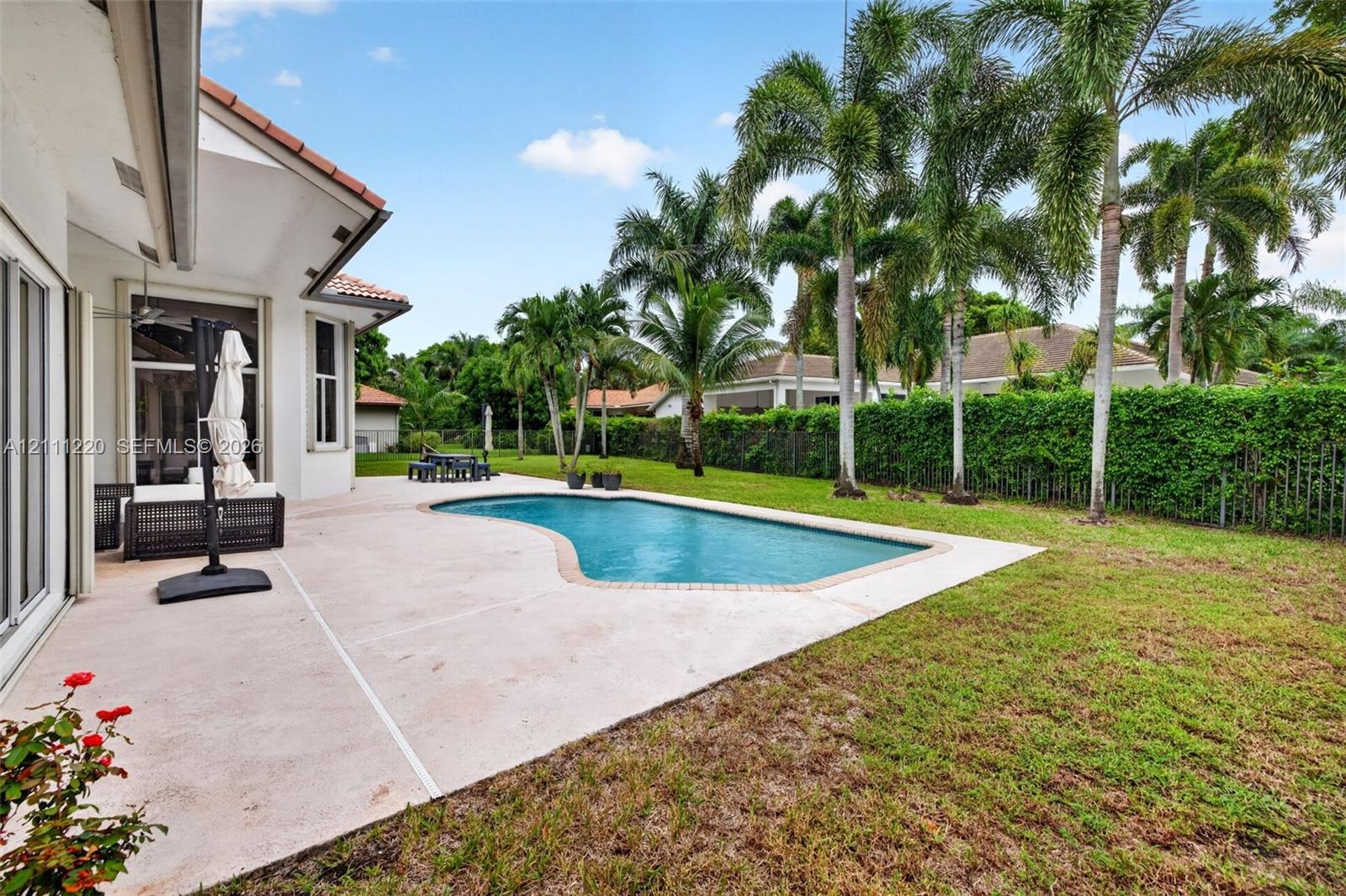 Concrete patio, in-ground swimming pool, manicured lawn, established palm trees, and privacy-focused hedge perimeter