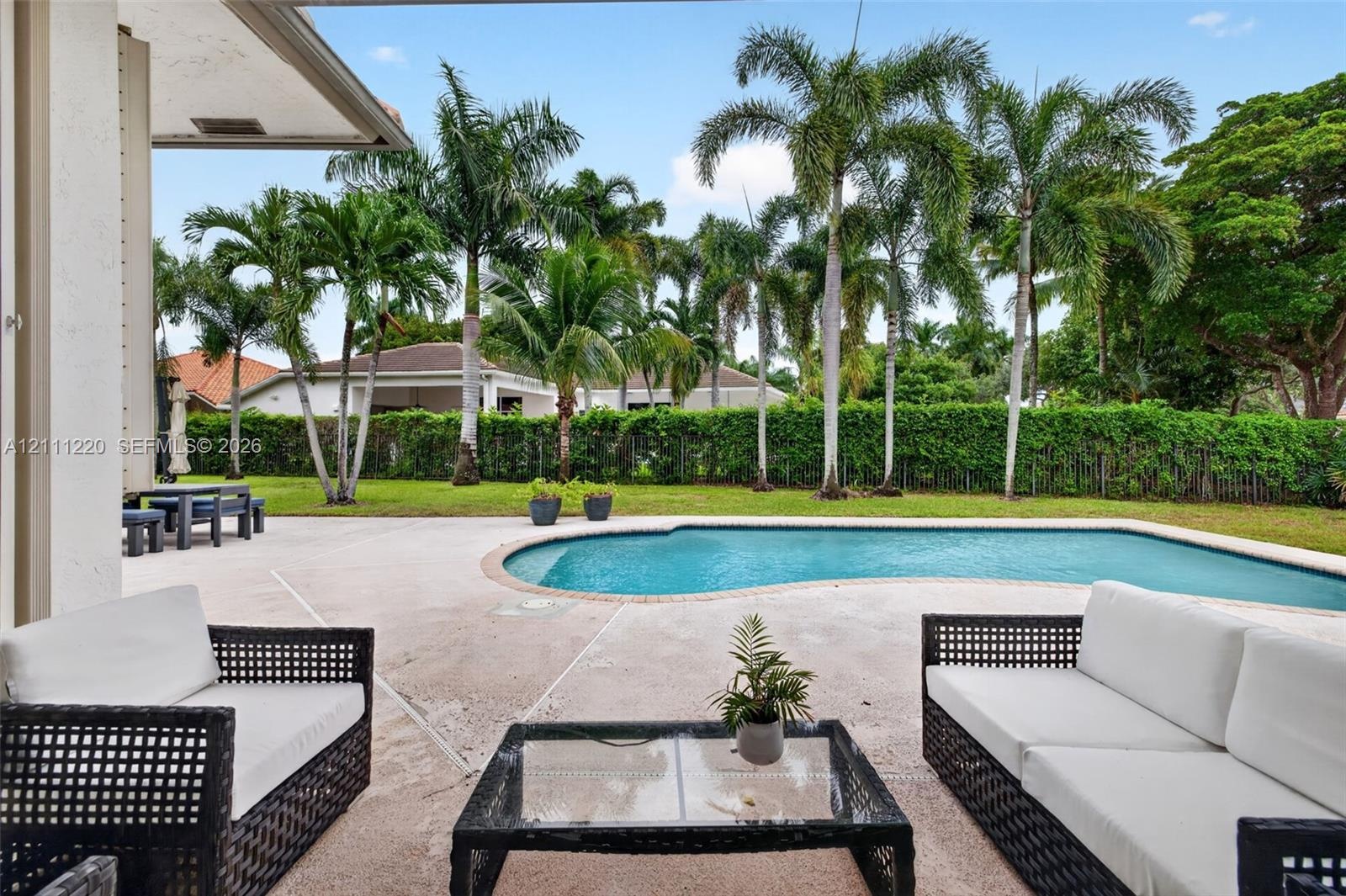 Covered patio featuring a concrete deck, curvilinear swimming pool, manicured lawn, and perimeter hedging with mature palm trees
