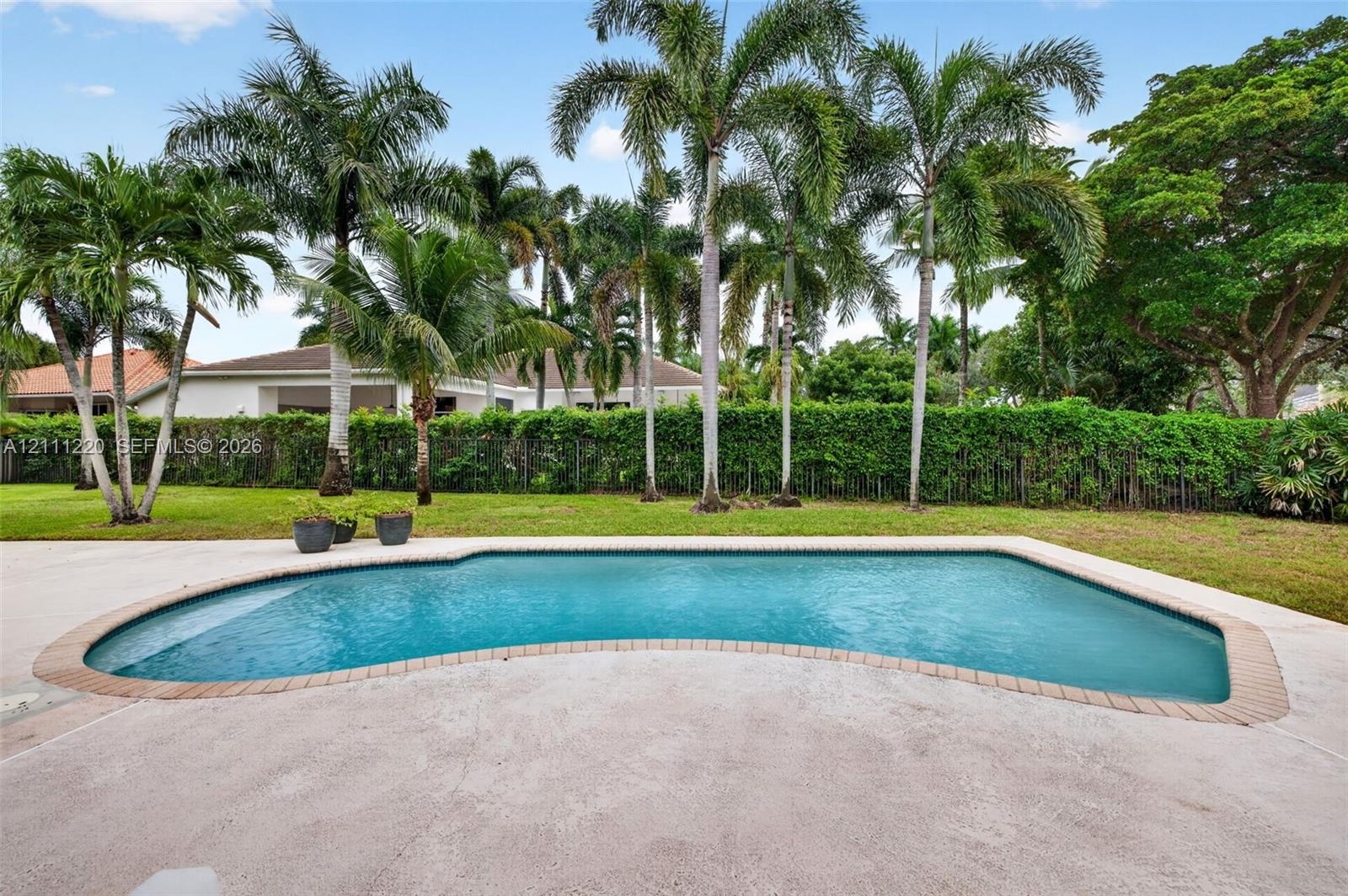 Outdoor pool featuring a masonry border, concrete patio, mature palm trees, and perimeter hedging