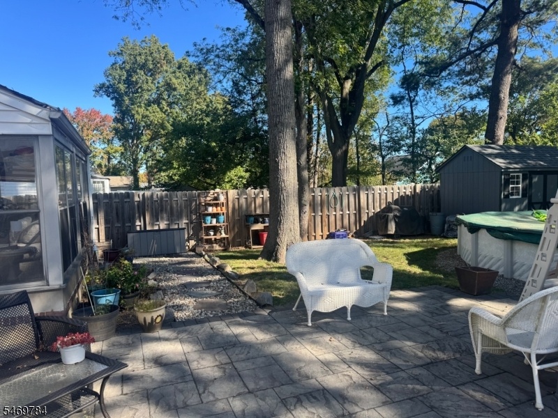 back yard