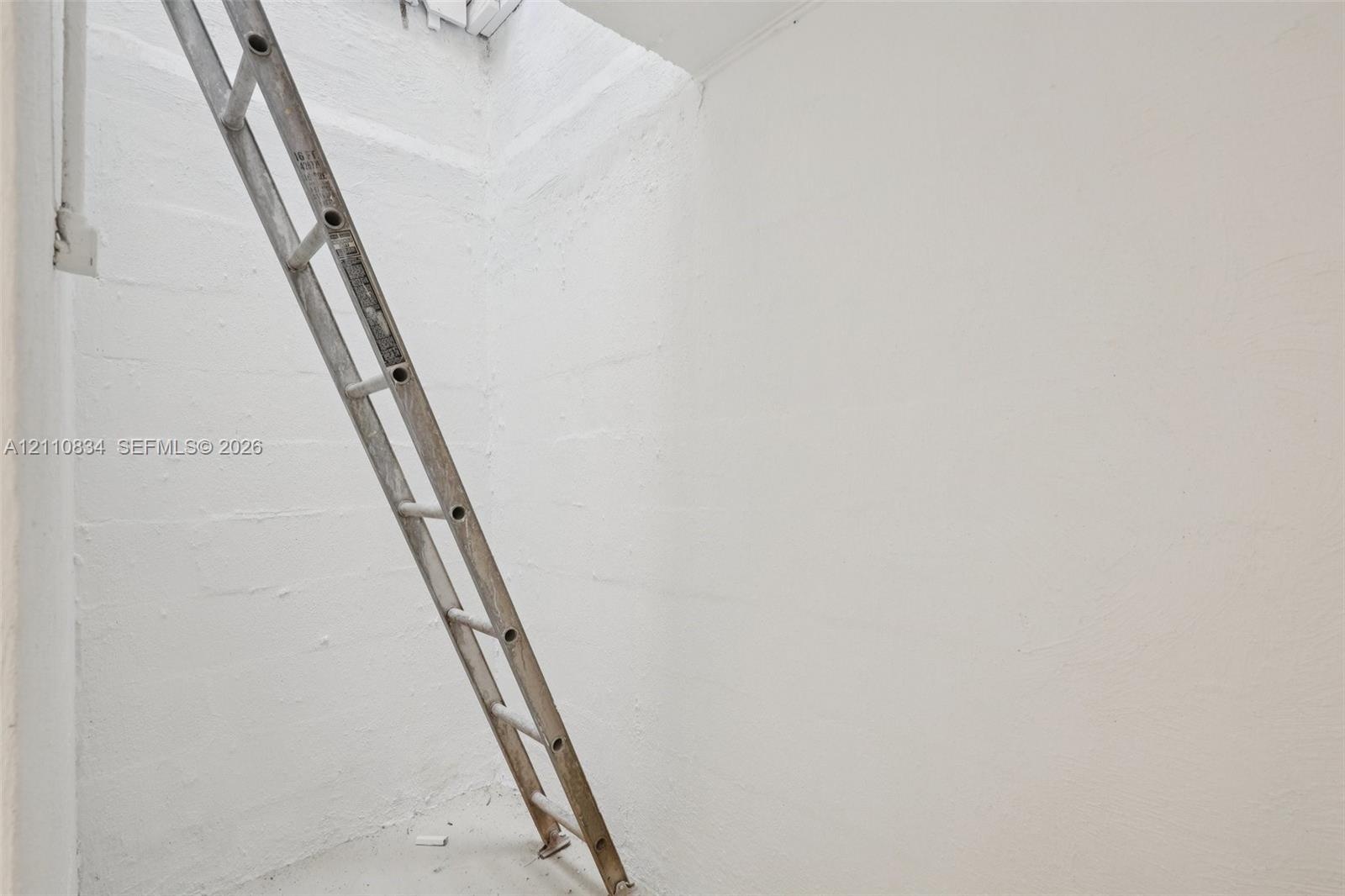 Enclosed storage area featuring painted masonry block walls and a fixed metal access ladder