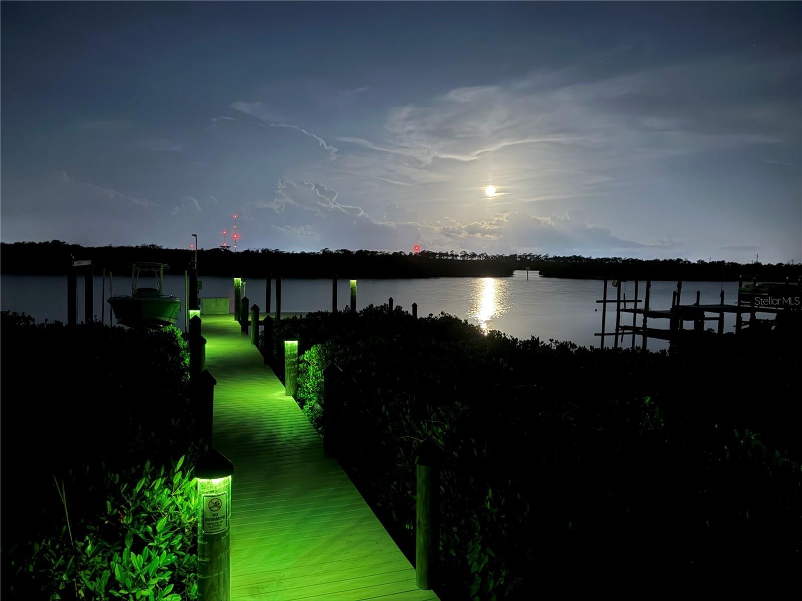 Multicolor Dock Lights
