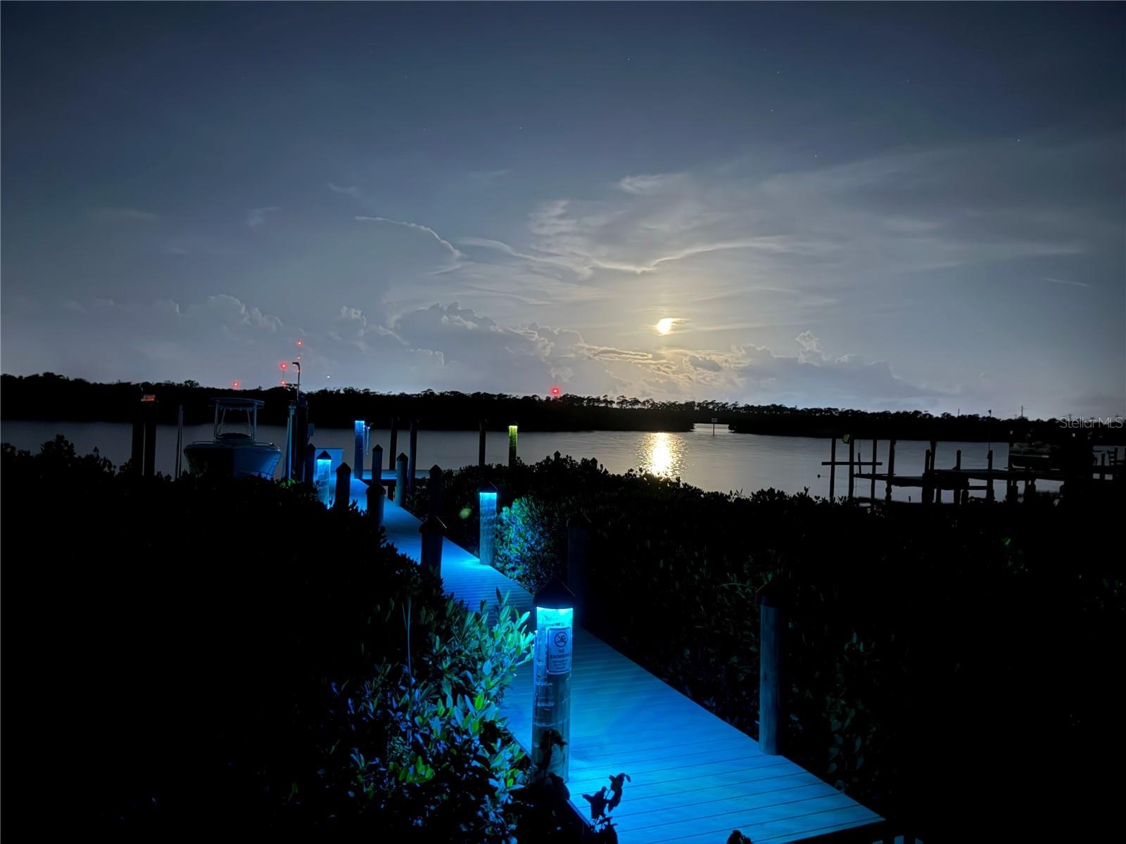 Multicolor Dock Lights