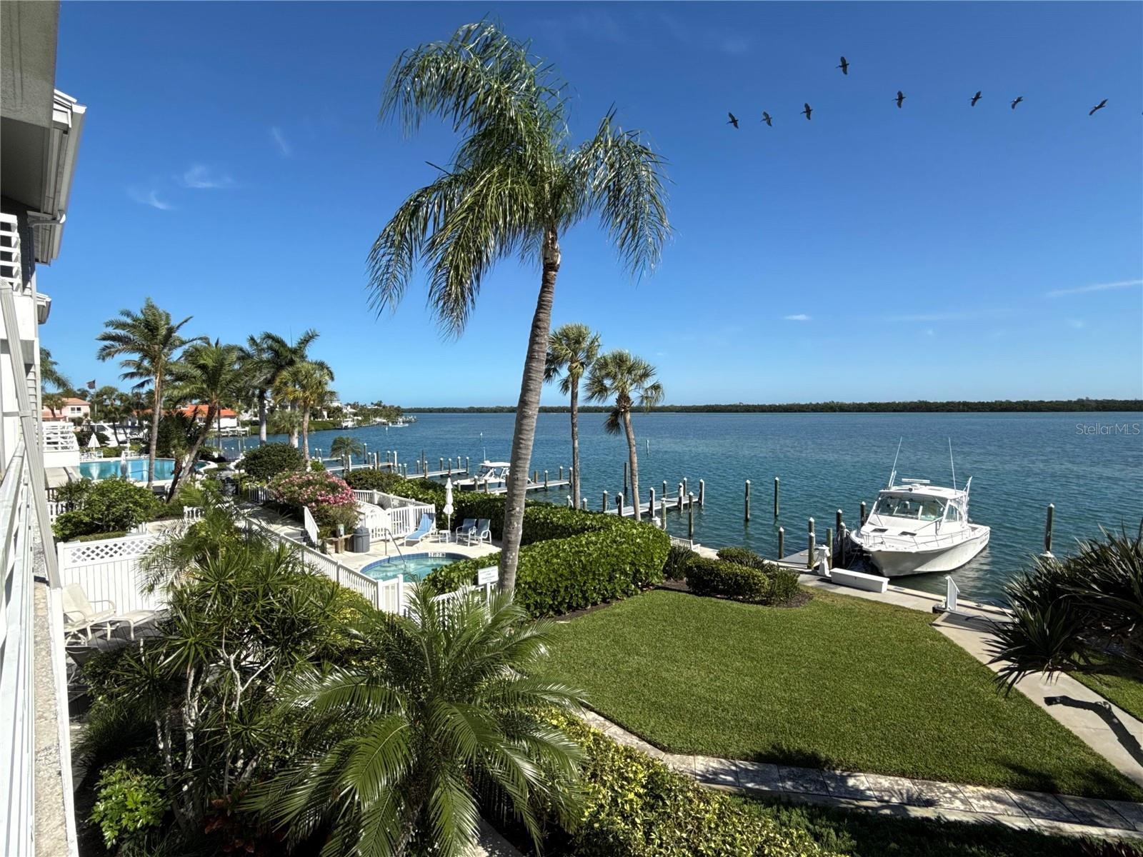 views from this home